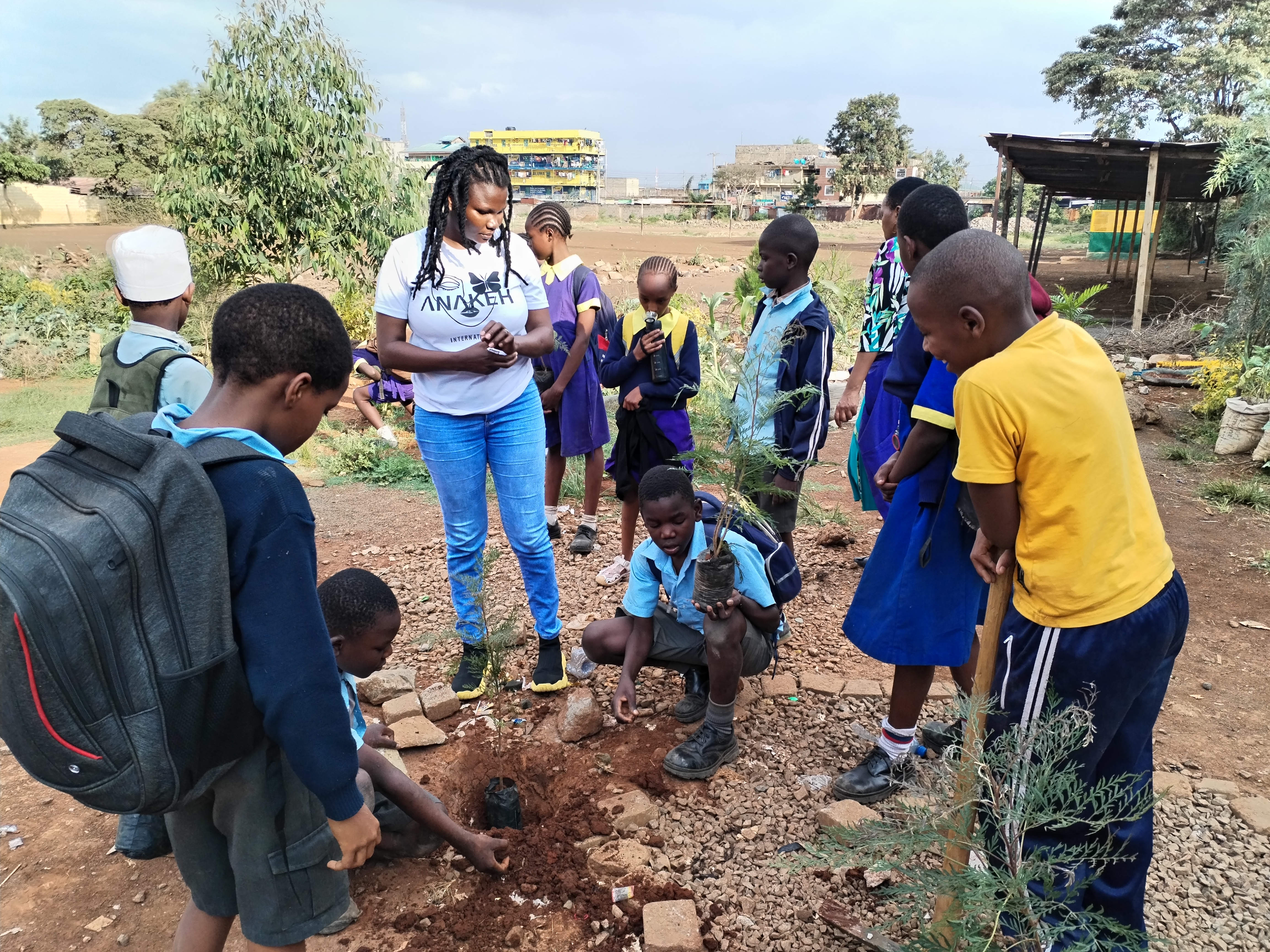 Tree planting